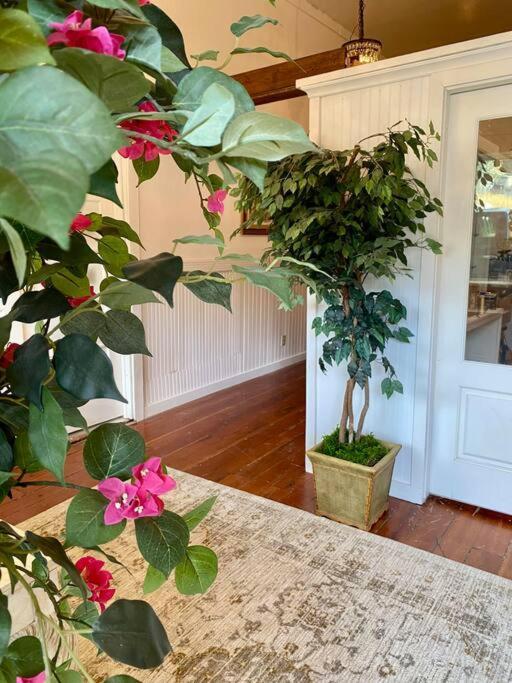 The Shopkeeper'S Cottage ~ Chic! Amador City 外观 照片
